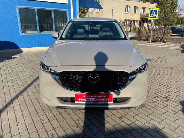 Фото автомобиля 18
